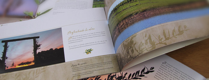 Brochure Olivos del Olimar