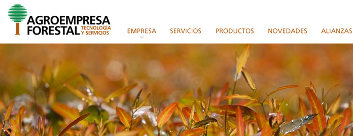 Web Agroempresa Forestal