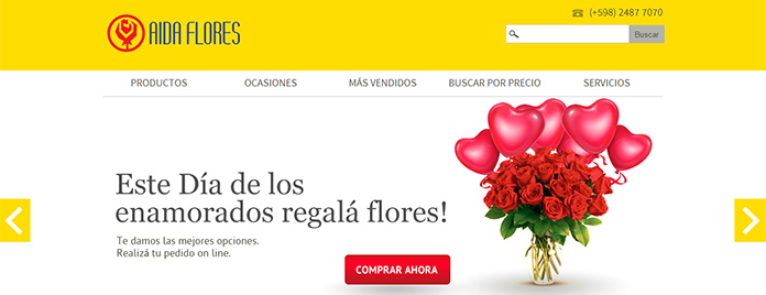 Sitio web Aida Flores