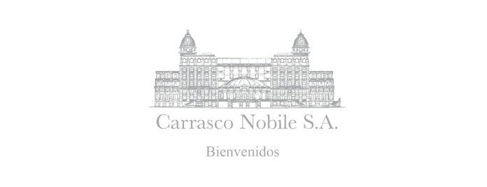 Web Carrasco Nobile