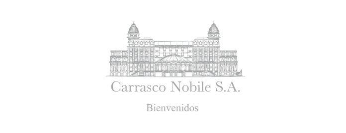 Web Carrasco Nobile