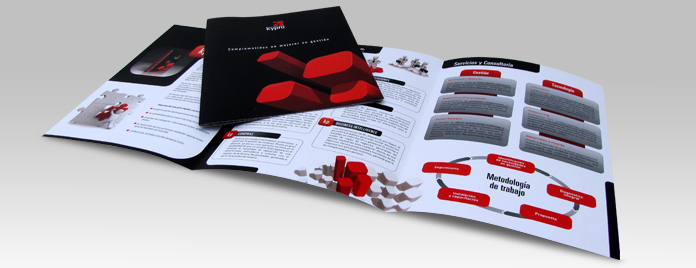 Brochure Institucional Kypro